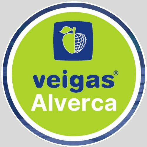 Veigas Mediação Imobiliária