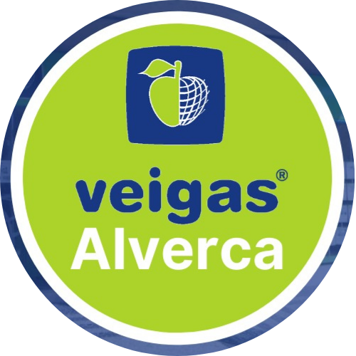 Veigas Mediação Imobiliária